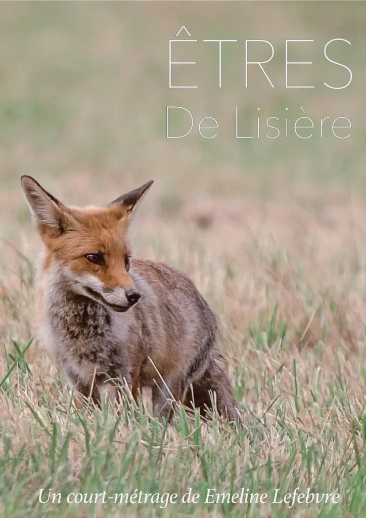 Affiche Êtres de Lisière