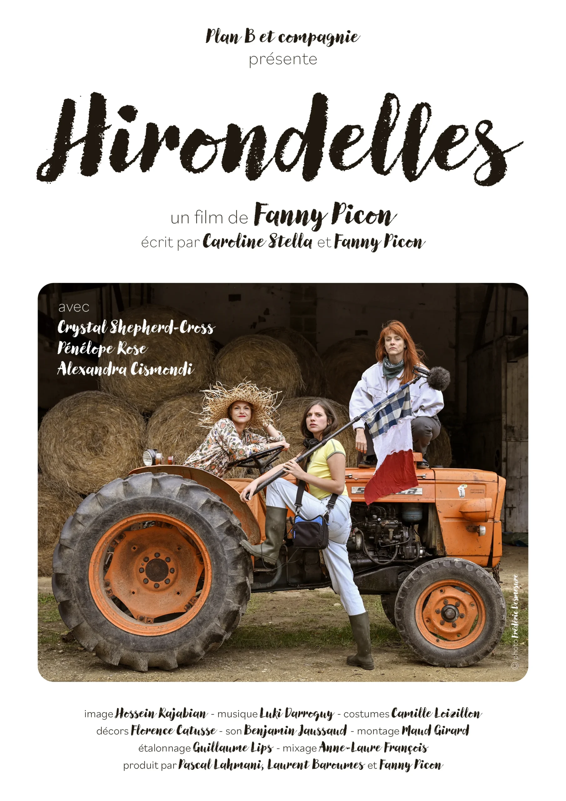 Affiche Hirondelles